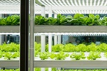 Grow Room, Drying Operation and Greenhouse Dehumidification
