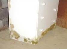 Mold from high humidity and condensation