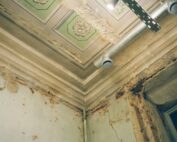 Mold and Moisture Control